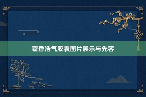 藿香浩气胶囊图片展示与先容