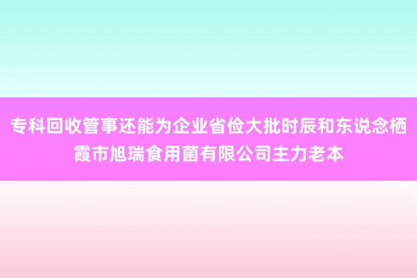 专科回收管事还能为企业省俭大批时辰和东说念栖霞市旭瑞食用菌有限公司主力老本